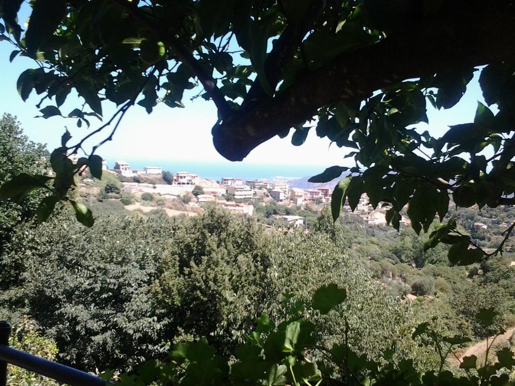 Le Roverelle Ilbono 外观 照片