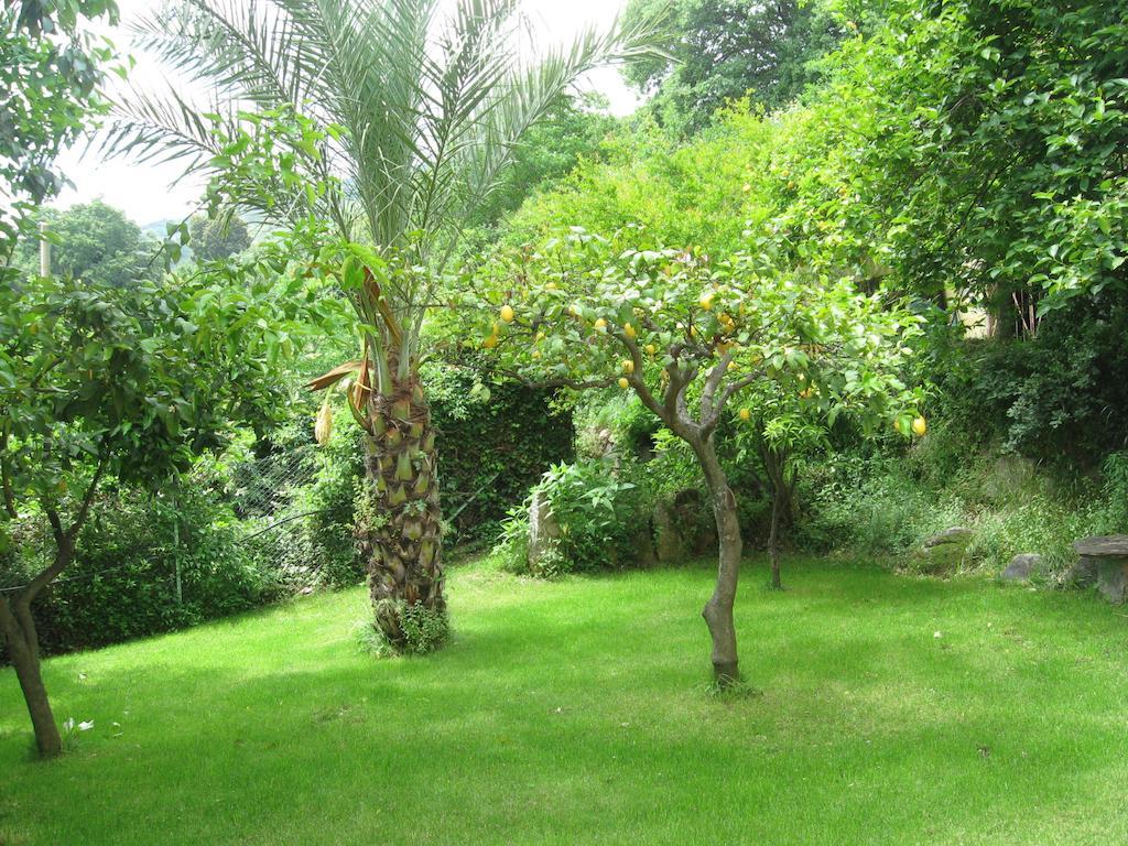Le Roverelle Ilbono 外观 照片